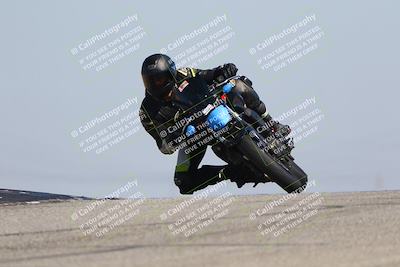 media/Mar-24-2025-2WTD (Mon) [[55b4b08488]]/A Group/11am (Outside Grapevine)/